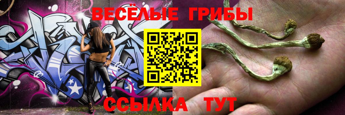 Галлюциногенные грибы MAGIC MUSHROOMS  Вход с VPN  Светлоград 